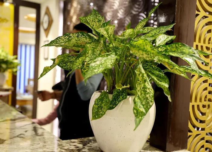 Denver Hotel Delhi Airport - Free Airport Drop